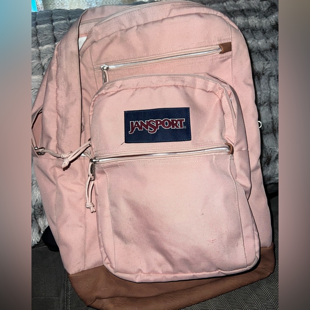 JanSport Pink Backpack